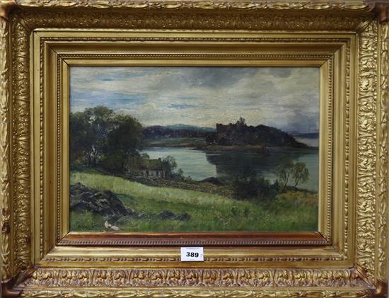 P. Buchanan, oil on canvas, Scottish loch scene, 30 x 45cm
